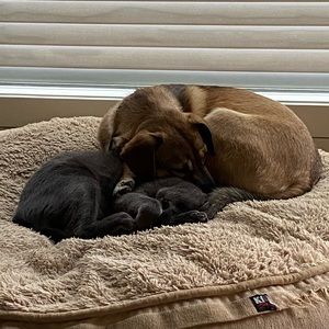 Meet your Posher, Aaron